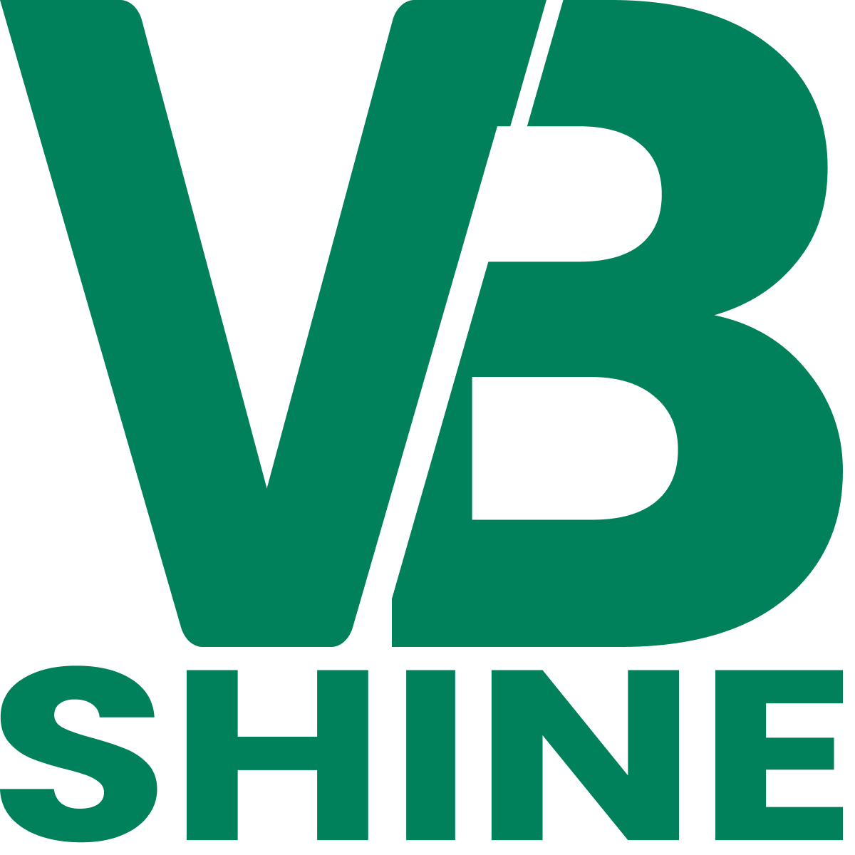 VB Shine logo